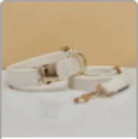 Multiple Colour Velvet Personalise Dog Collar Leash Set With Bow (Option: White set-S)